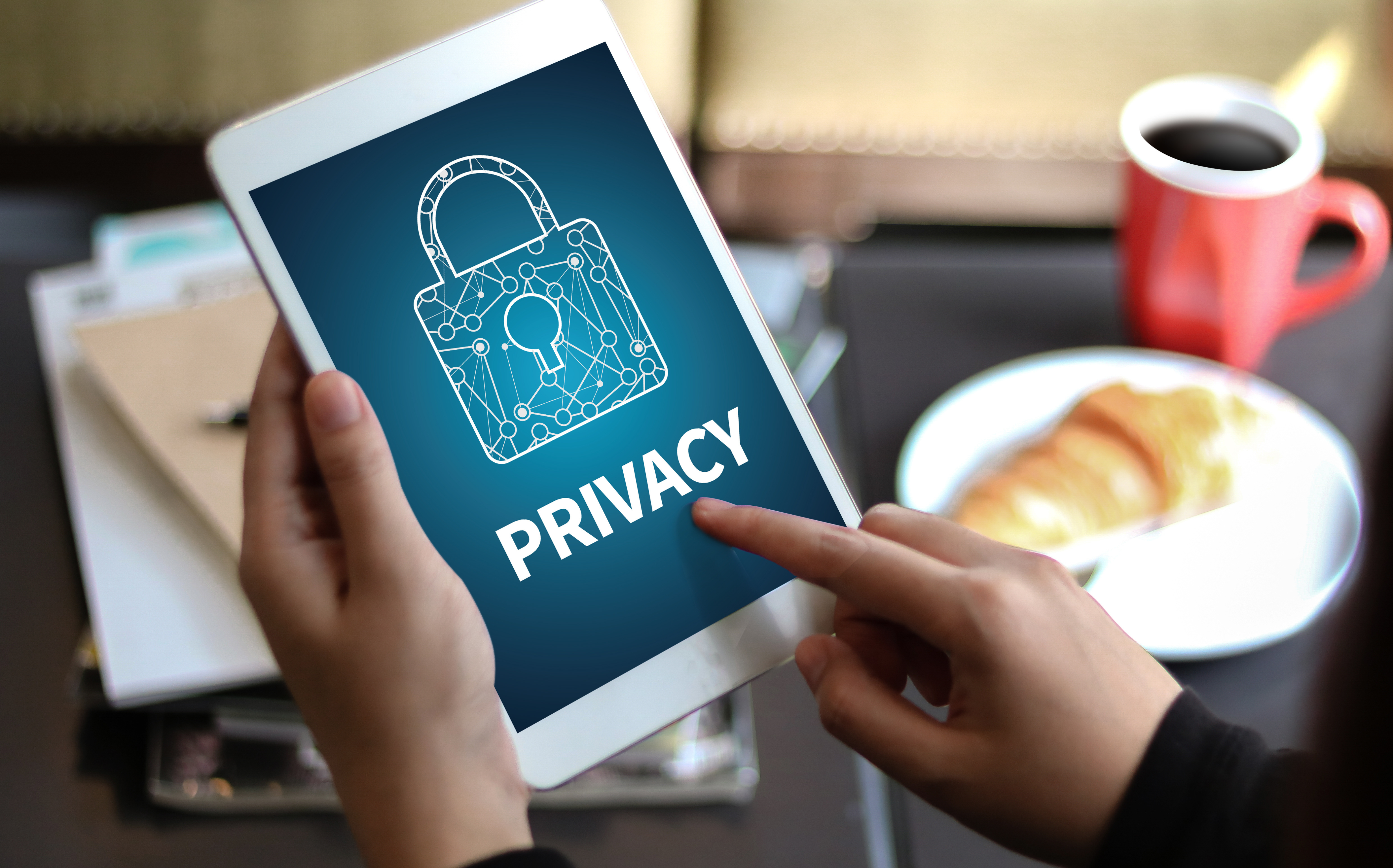 Data Privacy